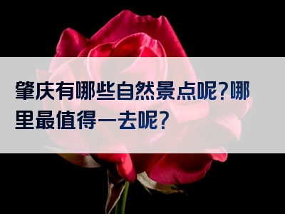肇庆有哪些自然景点呢？哪里最值得一去呢？