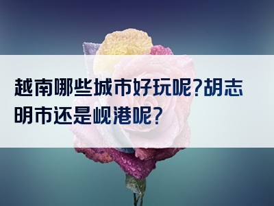 越南哪些城市好玩呢？胡志明市还是岘港呢？