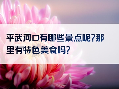 平武河口有哪些景点呢？那里有特色美食吗？
