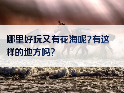 哪里好玩又有花海呢？有这样的地方吗？