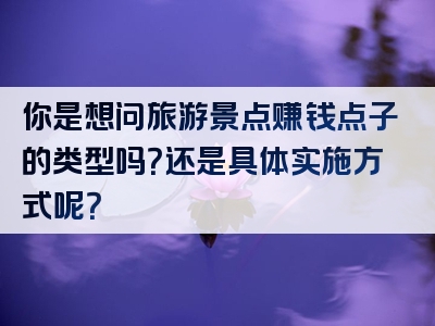 你是想问旅游景点赚钱点子的类型吗？还是具体实施方式呢？