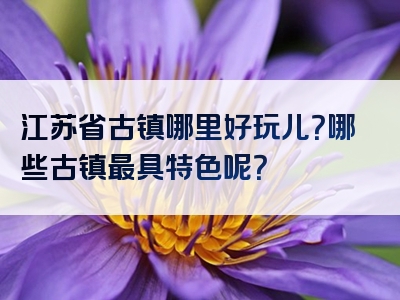 江苏省古镇哪里好玩儿？哪些古镇最具特色呢？