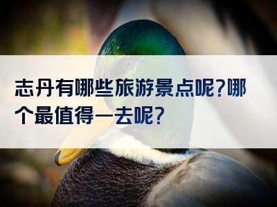 志丹有哪些旅游景点呢？哪个最值得一去呢？