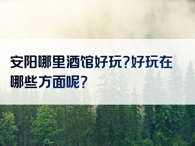 安阳哪里酒馆好玩？好玩在哪些方面呢？