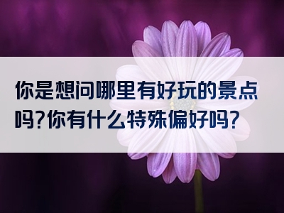你是想问哪里有好玩的景点吗？你有什么特殊偏好吗？