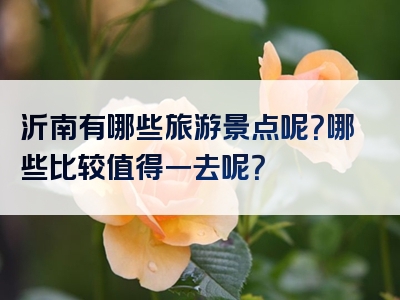沂南有哪些旅游景点呢？哪些比较值得一去呢？