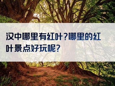 汉中哪里有红叶？哪里的红叶景点好玩呢？