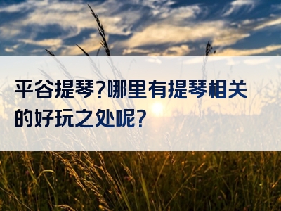 平谷提琴？哪里有提琴相关的好玩之处呢？