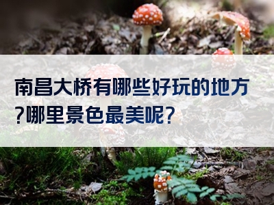 南昌大桥有哪些好玩的地方？哪里景色最美呢？