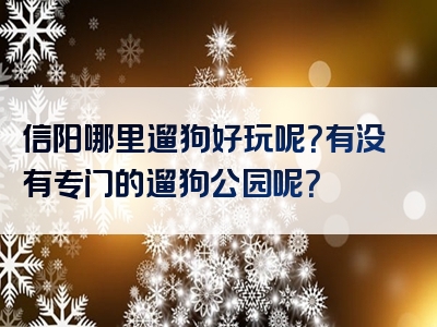 信阳哪里遛狗好玩呢？有没有专门的遛狗公园呢？