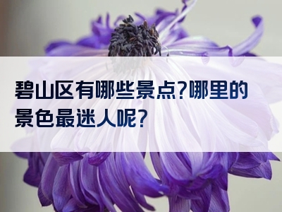 碧山区有哪些景点？哪里的景色最迷人呢？