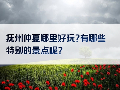 抚州仲夏哪里好玩？有哪些特别的景点呢？