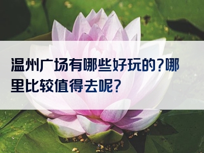 温州广场有哪些好玩的？哪里比较值得去呢？