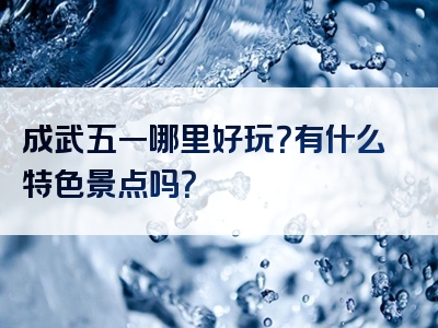 成武五一哪里好玩？有什么特色景点吗？