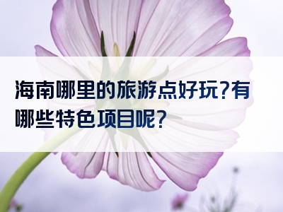 海南哪里的旅游点好玩？有哪些特色项目呢？