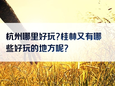 杭州哪里好玩？桂林又有哪些好玩的地方呢？