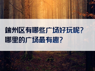 端州区有哪些广场好玩呢？哪里的广场最有趣？