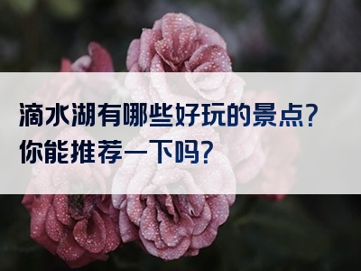滴水湖有哪些好玩的景点？你能推荐一下吗？