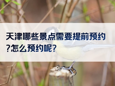 天津哪些景点需要提前预约？怎么预约呢？