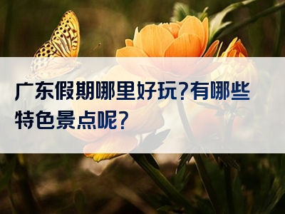 广东假期哪里好玩？有哪些特色景点呢？