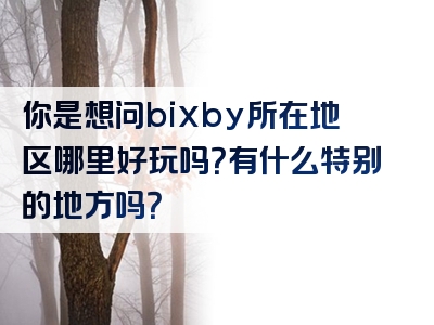 你是想问bixby所在地区哪里好玩吗？有什么特别的地方吗？