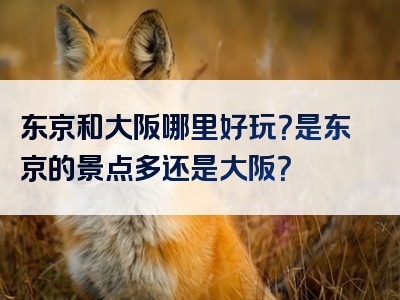 东京和大阪哪里好玩？是东京的景点多还是大阪？