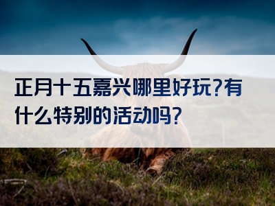 正月十五嘉兴哪里好玩？有什么特别的活动吗？