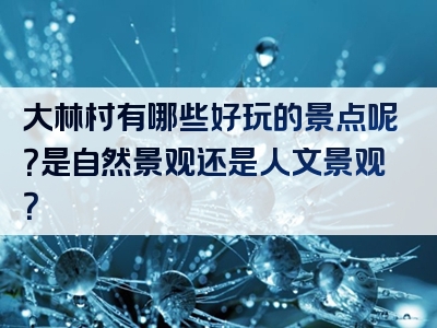 大林村有哪些好玩的景点呢？是自然景观还是人文景观？