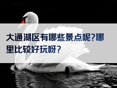 大通湖区有哪些景点呢？哪里比较好玩呀？