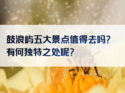 鼓浪屿五大景点值得去吗？有何独特之处呢？
