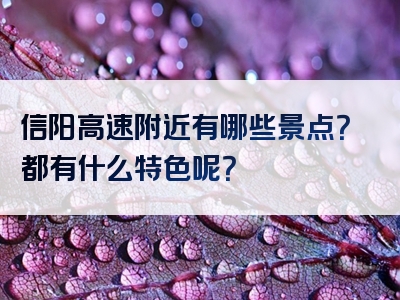 信阳高速附近有哪些景点？都有什么特色呢？