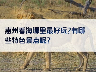 惠州看海哪里最好玩？有哪些特色景点呢？