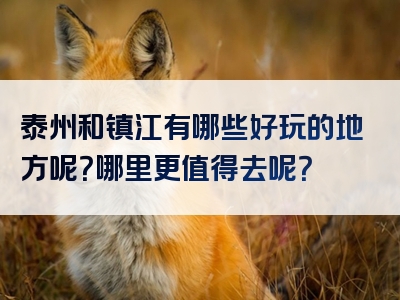 泰州和镇江有哪些好玩的地方呢？哪里更值得去呢？