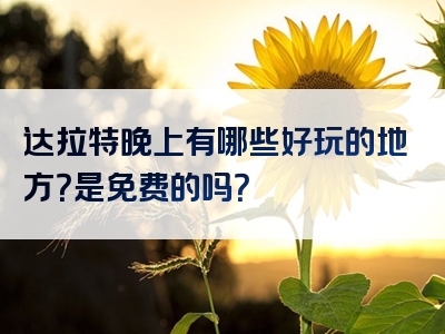 达拉特晚上有哪些好玩的地方？是免费的吗？