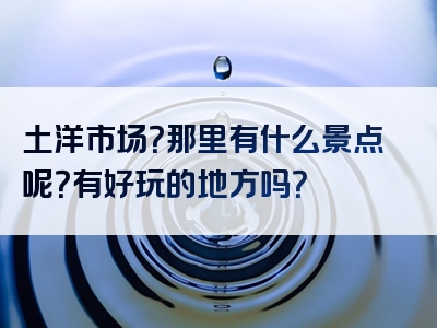 土洋市场？那里有什么景点呢？有好玩的地方吗？