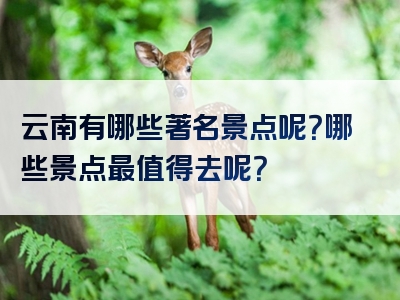 云南有哪些著名景点呢？哪些景点最值得去呢？
