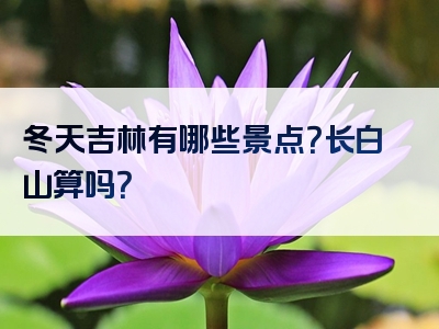 冬天吉林有哪些景点？长白山算吗？