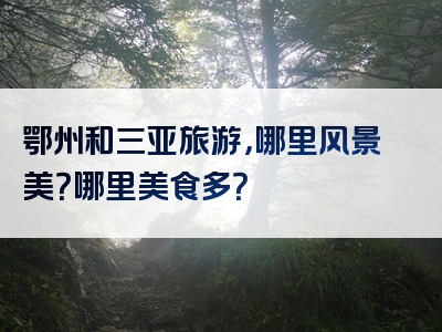 鄂州和三亚旅游，哪里风景美？哪里美食多？