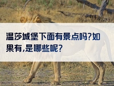 温莎城堡下面有景点吗？如果有，是哪些呢？