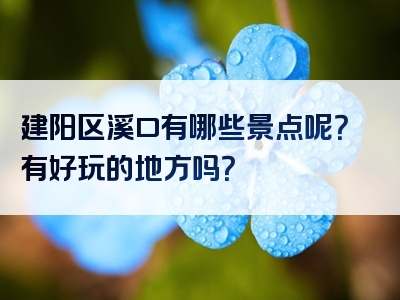 建阳区溪口有哪些景点呢？有好玩的地方吗？