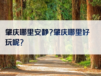 肇庆哪里安静？肇庆哪里好玩呢？