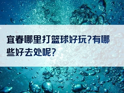 宜春哪里打篮球好玩？有哪些好去处呢？