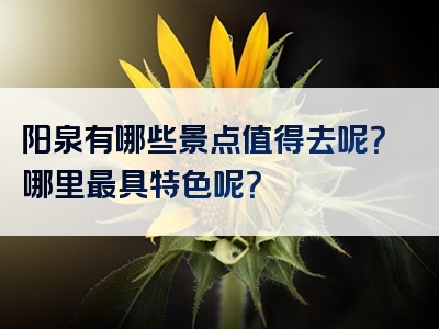 阳泉有哪些景点值得去呢？哪里最具特色呢？