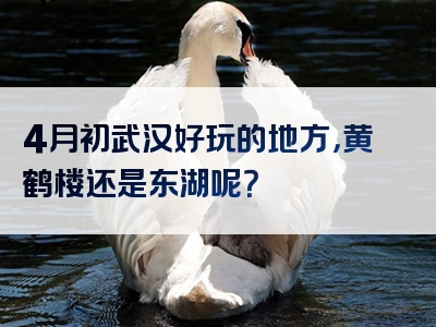 4月初武汉好玩的地方，黄鹤楼还是东湖呢？
