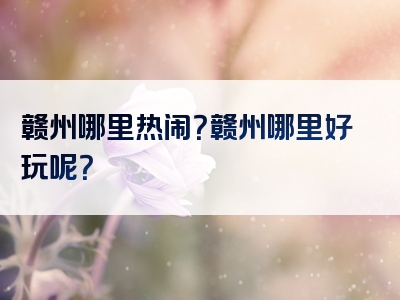 赣州哪里热闹？赣州哪里好玩呢？