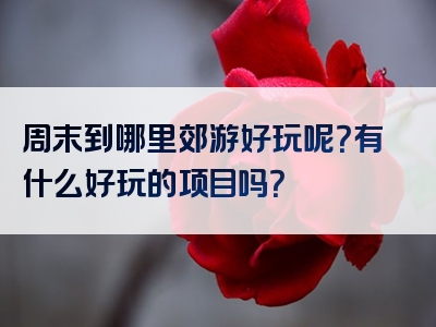 周末到哪里郊游好玩呢？有什么好玩的项目吗？