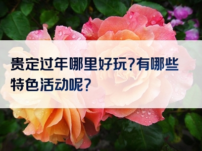 贵定过年哪里好玩？有哪些特色活动呢？