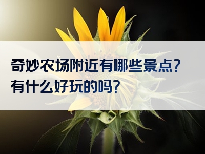 奇妙农场附近有哪些景点？有什么好玩的吗？