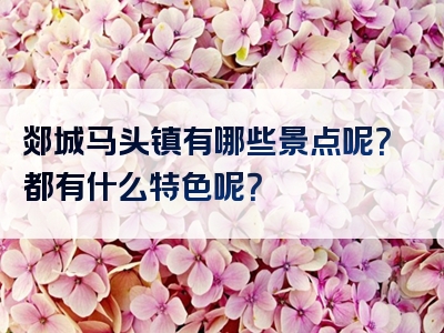 郯城马头镇有哪些景点呢？都有什么特色呢？