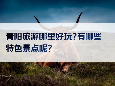 青阳旅游哪里好玩？有哪些特色景点呢？